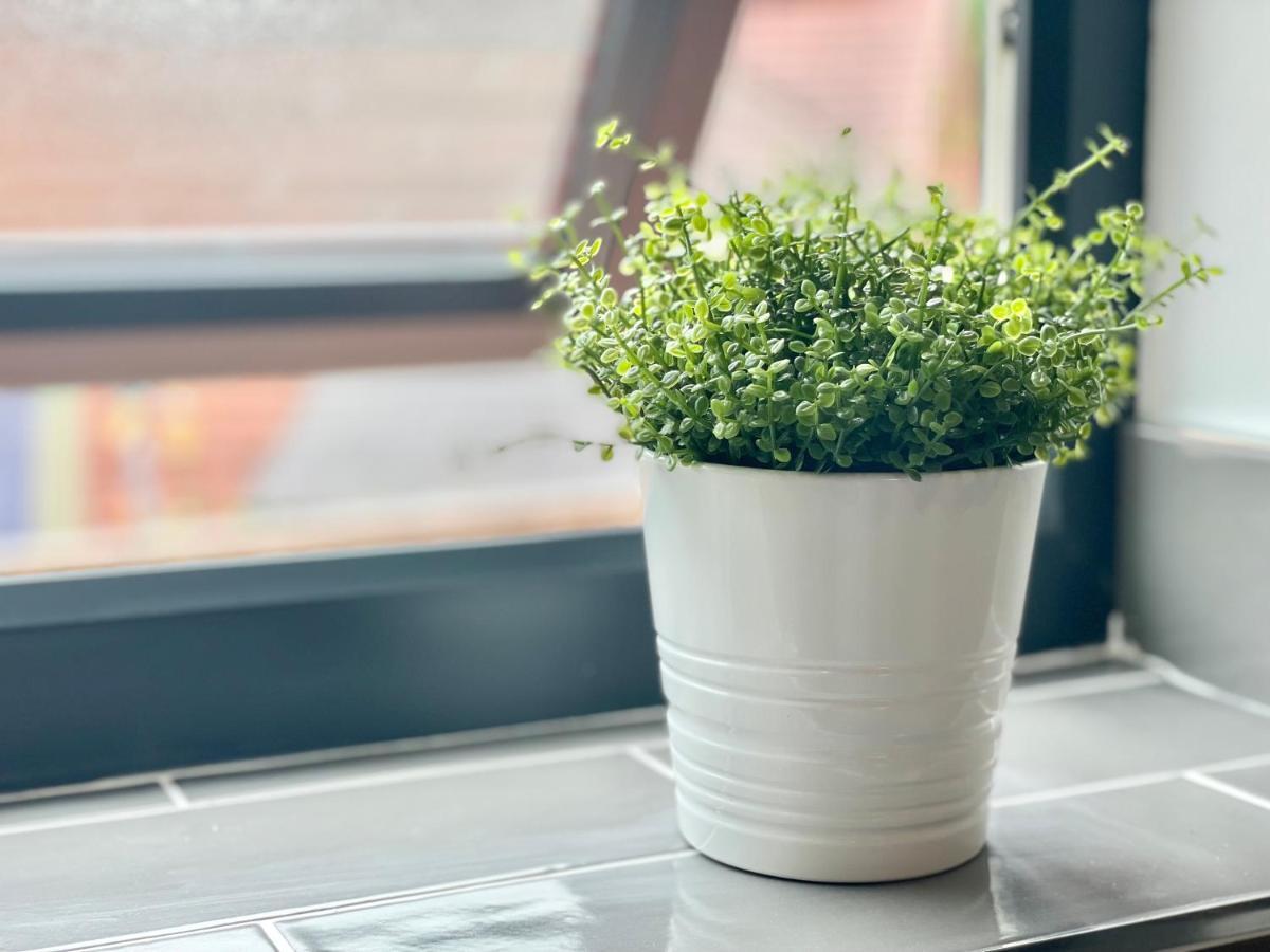 Garden View - 2 Bedroom Bungalowヨーク エクステリア 写真